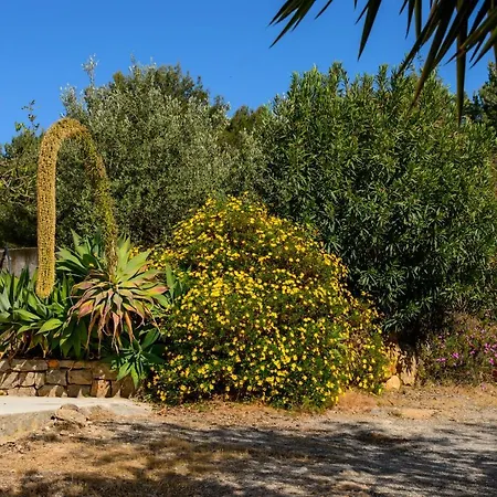 Pep D'en Puig Villa *